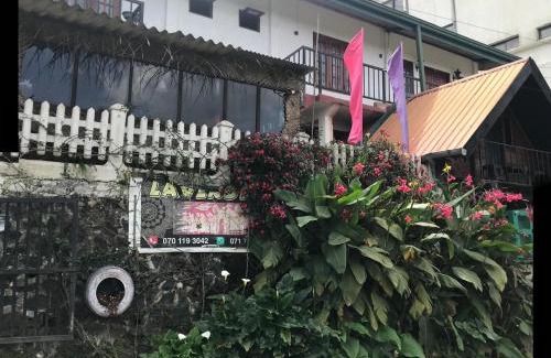 Nuwara Eliya Hotel | Pini Diya Wood Cabin & Resort