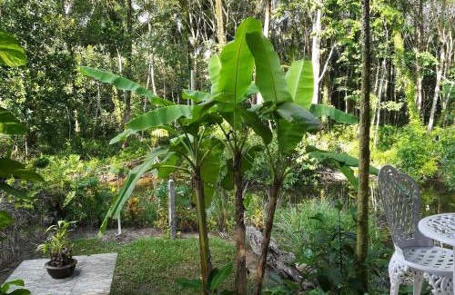 Ko Kood Chalet De Esquí | Pink Kangaroo Bungalows