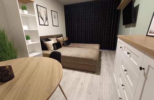 Piotrkow Trybunalski Apartamento | Piotrków Trybunalski Comfort Apartment by BookingHost