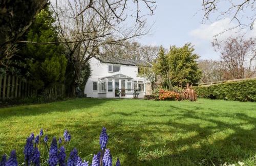 Lydney Casa | Pippins