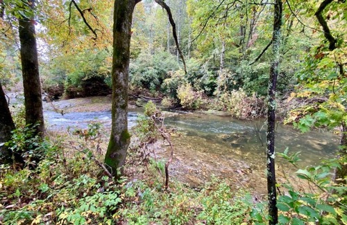 Asheville Casa | Pisgah Private Retreat Family Getaway with Hot Tub