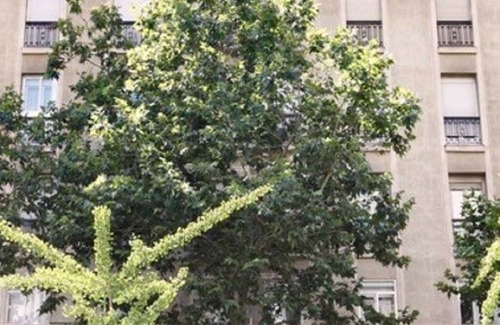 Castellana Apartamento | Piso en Príncipe de Vergara, 95 con patio de uso propio