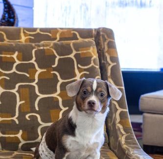 Downtown Pittsburgh Hotel | Pittsburgh Marriott City Center