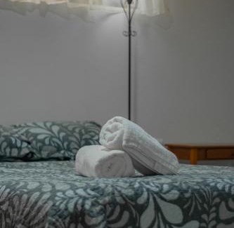 Monteverde Apartamento | Pizote Apartment Monteverde 2nd floor