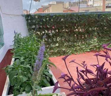 Onda Casa | Plaça de l'Almudí, where else!