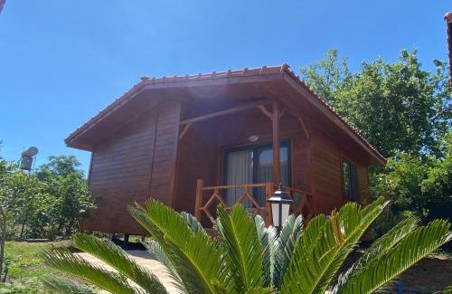 Cirali Casa | Plaj Hotel