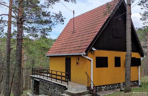 Divcibare Casa | Planinska kuća Čudesni bor