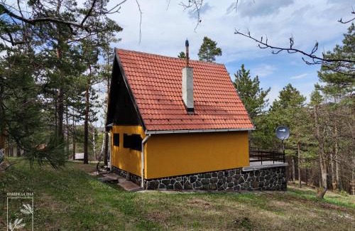 Divcibare Casa | Planinska kuća Čudesni bor