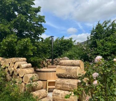 Poelkapelle Apartamento | Plantkot, a cozy apartment full of plants of tinykot