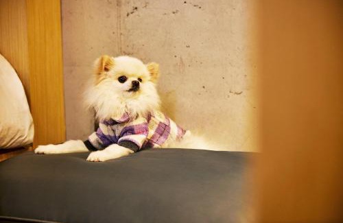 Seongsan Hotel | Playce Camp Jeju