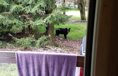 Albrightsville Chalet De Esquí | Pocono MT Chalet Visitante