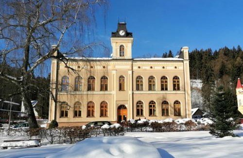 Svoboda nad Upou Apartamento | Pod střechou