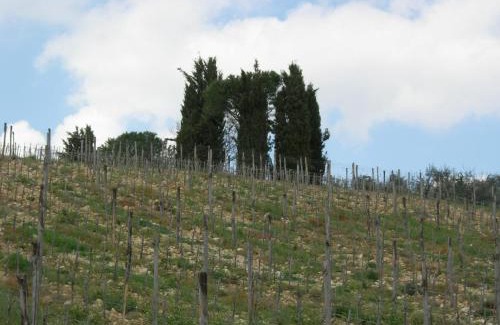 Mercatale Val di Pesa Casa | Poggio Borgoni