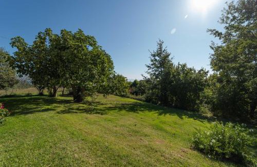 Canonica Cama Y Desayuno | Poggio delle Ginestre
