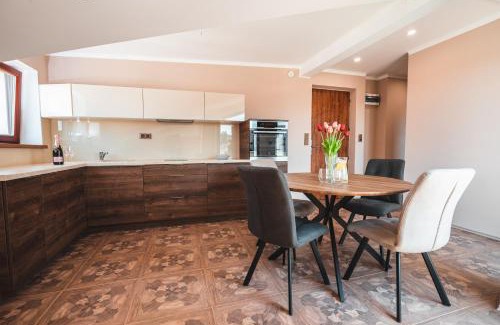 Podoli Apartamento | POINT flat, beautiful view from terrace to Prague Castle