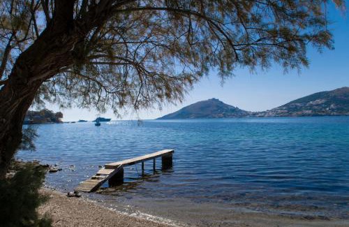 Alinda Casa | Polixeni's House