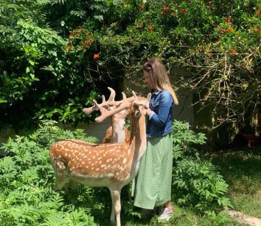 Polonezkoy Complejo | Polonezköy Country Club & Accommodation in the Wildlife Park!