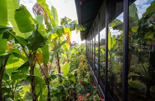 Russei Luk Casa | Pomelo Travel Outpost Cambodia ដំណាក់ភ្នំក្រោម