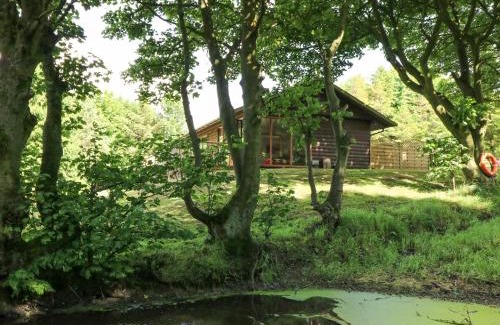 Great Fryup Dale Casa | Pond Farm Woodlands