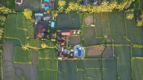 Tetebatu Casa | Pondok Indah Bungalows Tetebatu