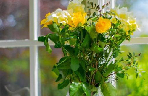 Ammanford Cama Y Desayuno | Pontyclerc Farm House Bed and Breakfast