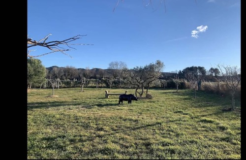 Charleval Villa | Pool villa in the countryside for 13 people,