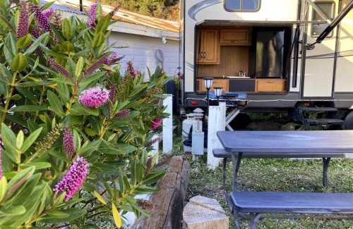 Fort Bragg Casa | Poop Deck