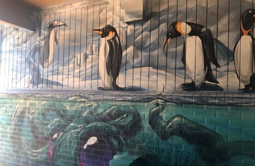 Northeast Park Hill Condominio | Poplar 2 · ♚⭐The King of Park Hill⭐♚⭐Safe Sanitary Stunner⭐♚