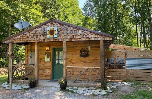 Bryson City Casa | Poppa Bear Cabin at Gr Smoky Mtn Park! 3mi to town
