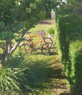 Paraná Apartamento | Posta Batata