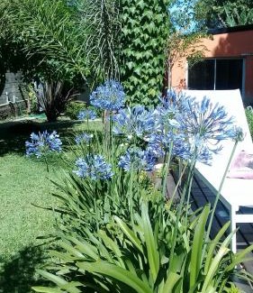 Paraná Apartamento | Posta Batata