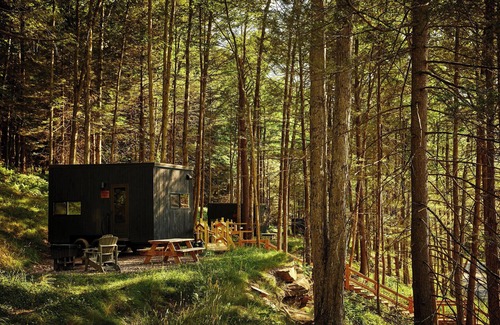 Town of Colchester Cabina | Postcard Cabins Western Catskills, Outdoor Collection by Marriott Bonvoy