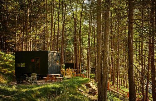 Pine River Otro | Postcard Cabins Wild Rose, Outdoor Collection by Marriott Bonvoy