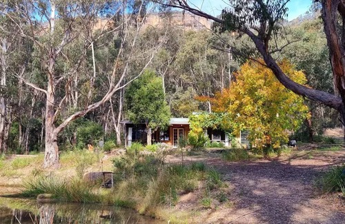 Kanimbla Cabaña | Casa de alfareros - 100 acres de paraíso!