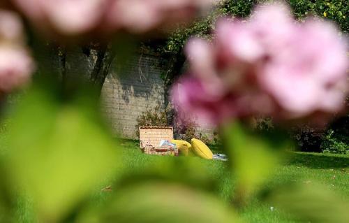 Crowborough Casa | Poundgate Park Cottage