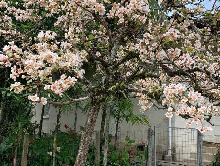 Benedito Novo Hotel | Pousada Borboleta