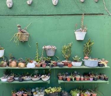 Bezerros Hotel | Pousada Brasil Tropical