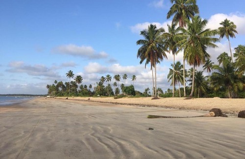 Ponta do Mangue Apartamento | Pousada caribe Maragogi