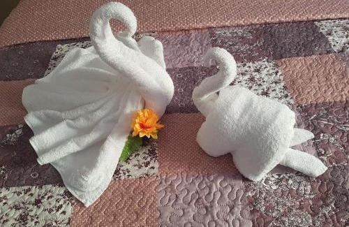 Maragogi Hotel | Pousada Gamela do Maragogi