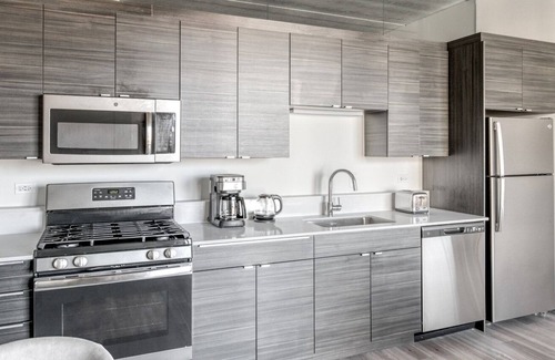 Bucktown Apartamento | Premium Bucktown 1BR w/ Lounge, Roof & Gym, nr L, by Blueground