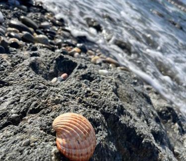 Casares del Mar Apartamento | Premium Luxury-Casares Del Mar-Seaside Apartment