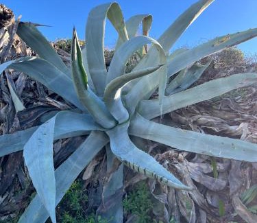 Casares del Mar Apartamento | Premium Luxury-Casares Del Mar-Seaside Apartment