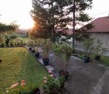 Golubac Casa | Prenoćište Aleksandar