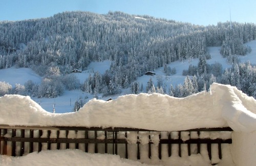 Flumet Apartamento | estudio espacioso, tranquilo y soleado, a 50 kilometros de Chamonix