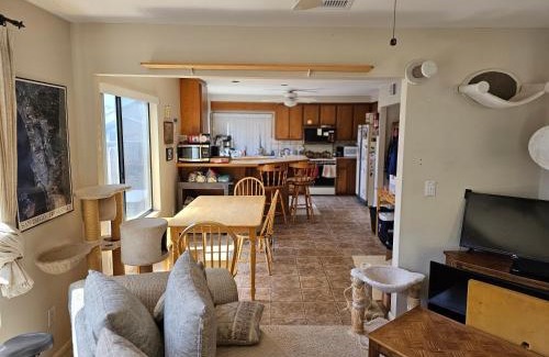 Tierrasanta Casa | Prime City Access At The Cat House - Room 1