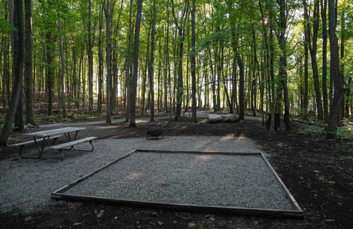 Vernon Alquiler De RV | Primitive Camping Site