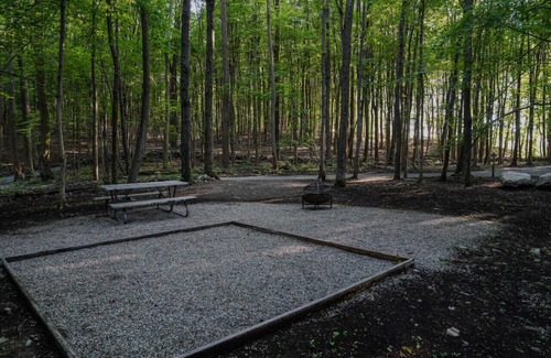 Vernon Alquiler De RV | Primitive Camping Site