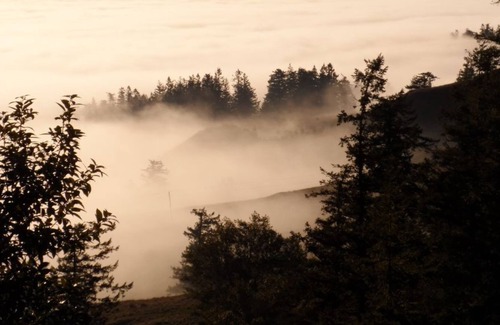 Langlois Casa | Propiedad privada de 80 acres en la cima de la montaña. Ideal para grupos / retiros, vista al mar