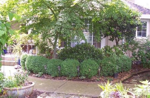 Loomis Apartamento | Privado y tranquilo país Folsom Lake, Riding Trails & More!