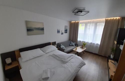 Rozvadov Apartamento | Private Apartment Rozvadov